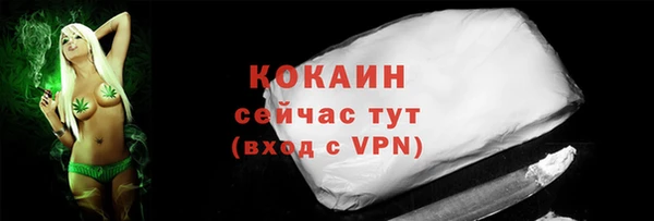 гашик Белокуриха