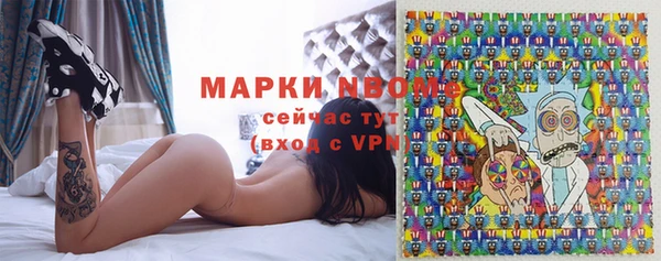 гашик Белокуриха