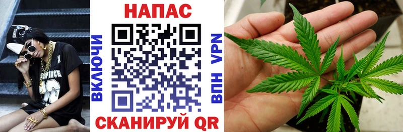 как найти закладки  Первомайск  Конопля семена 